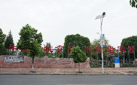 當(dāng)定制葛粉時(shí)，我們真正在選擇什么？