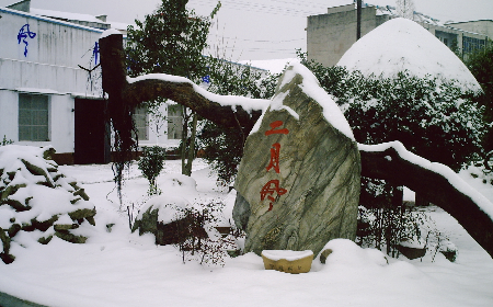 二月風(fēng)致老友：一碗葛根粉的牽掛，農(nóng)博會上的重逢之約二月風(fēng)盼老友：農(nóng)博會上，再續(xù)葛粉情緣