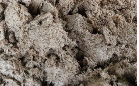 深入大洪山，只為一口純凈 -二月風(fēng)今冬野生葛根收購紀(jì)實